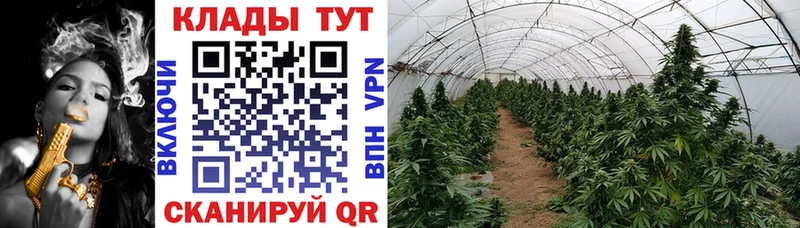 Магазины продажи наркотиков Сертолово ТГК  МДМА  Каннабис  COCAIN  ГАШ  Амфетамин 