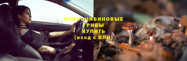 соль ск Арсеньев