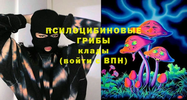 соль ск Арсеньев