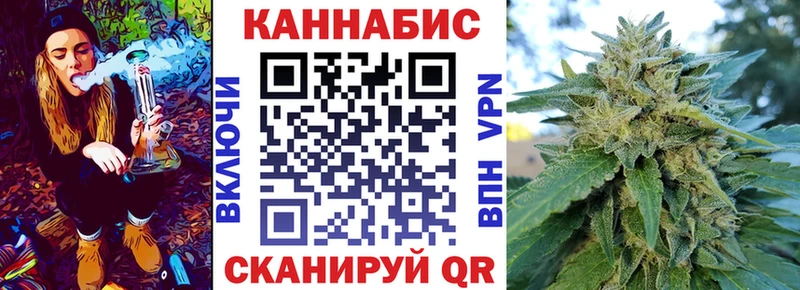 Каннабис индика Сертолово